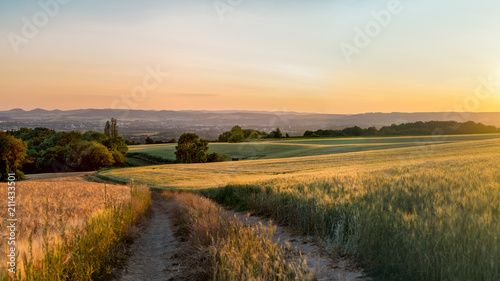 Panorama of the beautiful sunset in western Germany  a field of wheat with a dirt road  in the distance a small city.