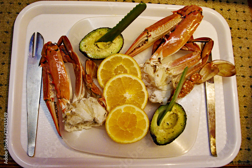 Blue Swimmer Crab. Portunus armatus photo