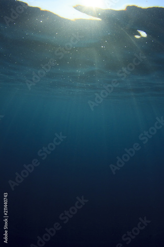 Sunlight underwater © Richard Carey