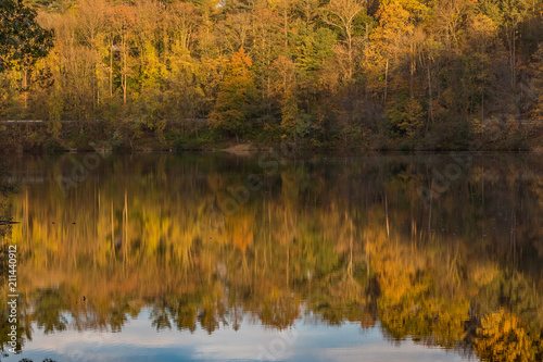 Fall foliage reflecting on lake
