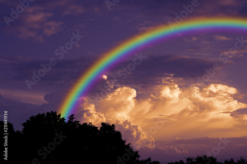 rainbow over sunset sky back silhouette dry branch tree