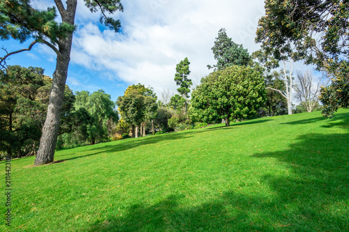 Beautiful green lawn and trees in park with blue sky and clouds as background.  Copy space for text. Footscray Park  VIC Australia.