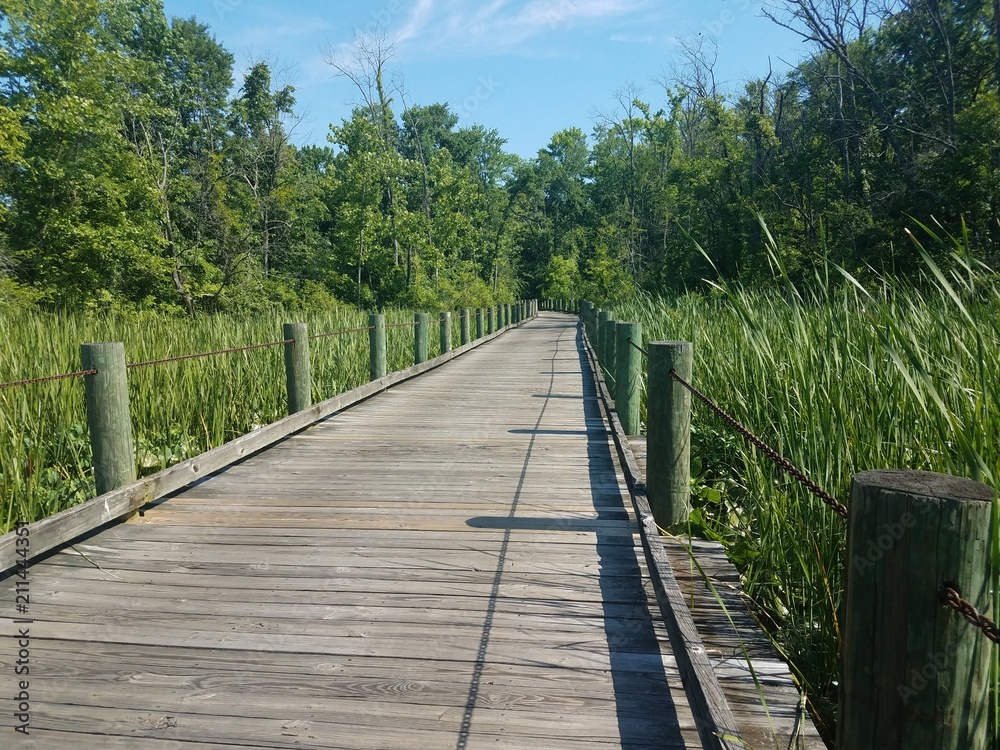 wooden boardwalk over water with green plants and a metal chain and shadow