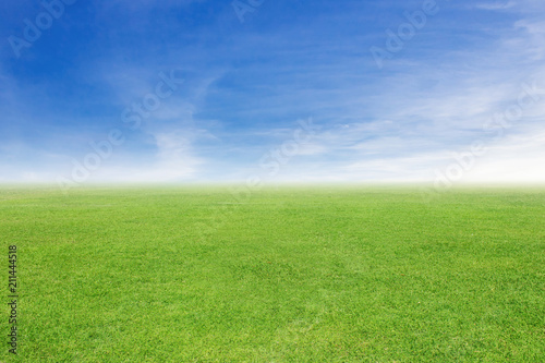grass and sky background