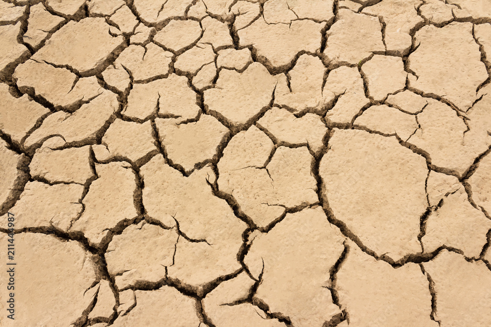 Dry cracked clay surface. Dry cracked clay surface.