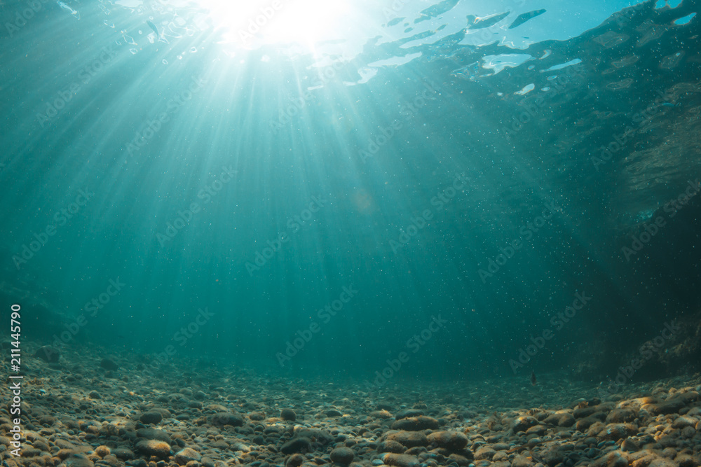 Fototapeta premium Underwater ocean 