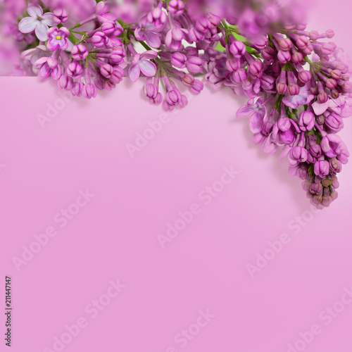 Fototapeta Naklejka Na Ścianę i Meble -  Festive postcard with lilac flowers and copy space for text. Natural floral frame.