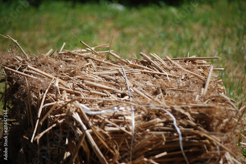 The bale of hay on a green lawn
