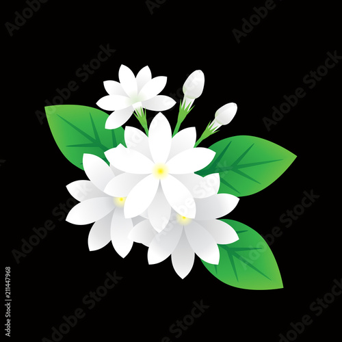 jasmine flower
