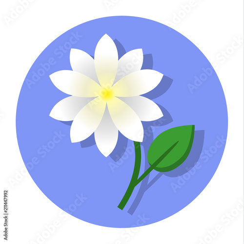 jasmine flower icon 1