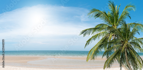 Coconut palms on the beach © utah51