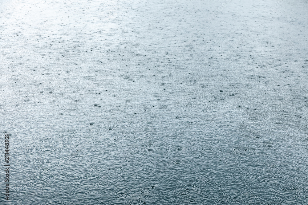 rainy weather. raindrops rippling on lake water surface with trees reflection rainy weather. raindrops rippling on lake water surface with trees reflection