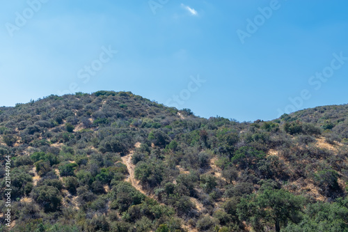 Hiking trails cover hills in California forest on hot summer morning