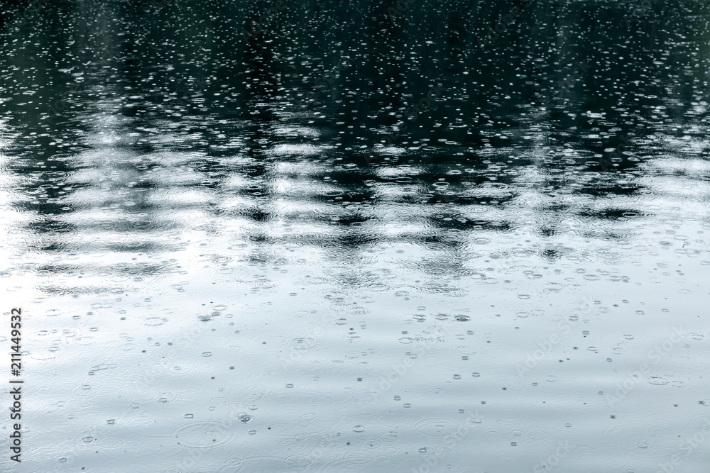 raindrops rippling on lake with trees reflecting in water during bad wether raindrops rippling on lake with trees reflecting in water during bad wether