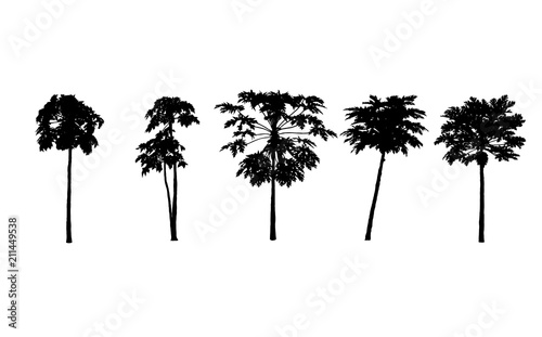 Vector set. papayas trees silhouettes on white background. illustration. © kran77