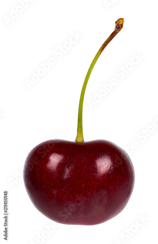 Sweet ripe cherry with hand isolated on white background.