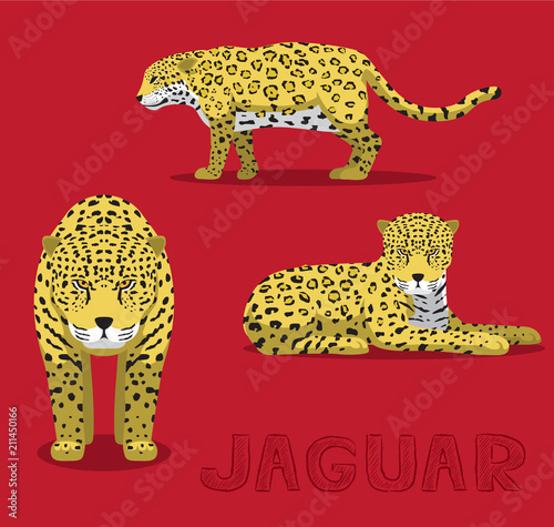 Jaguar Cartoon Vector Illustration