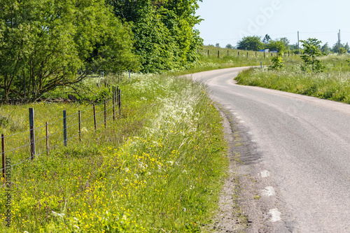 Flowering roadside ditch on a country road in summer photo