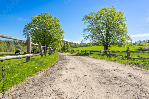 Fototapeta Naklejka Na Ścianę i Meble -  Countryside scene, pasture in country scenery and dirt road through farm, landscape