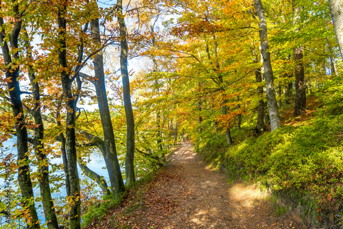 Path through park in autumn  landscape