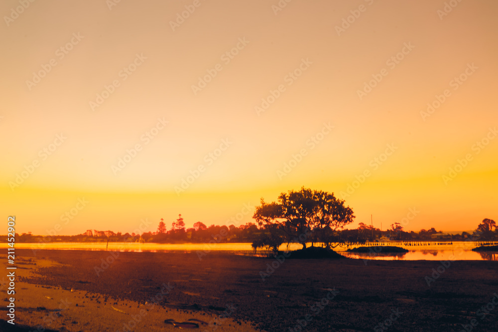 Fototapeta premium Sunset view