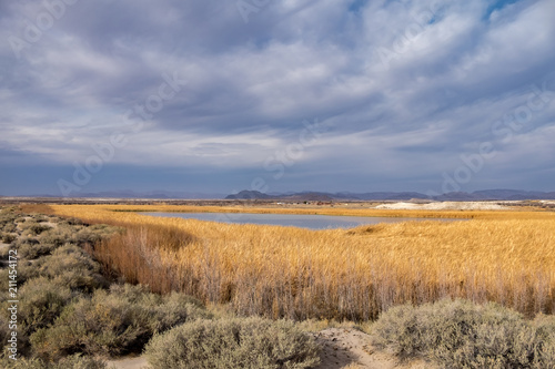 Peterson Reservoir Ash Meadows National Wildlife Refuge