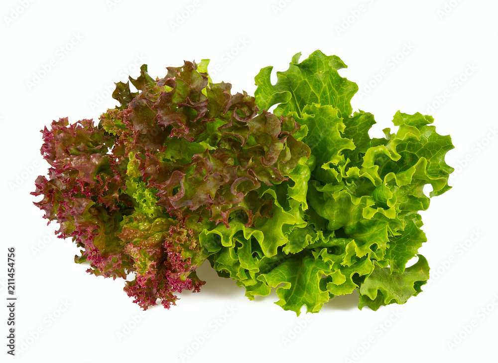 Obraz premium lettuce isolated on white