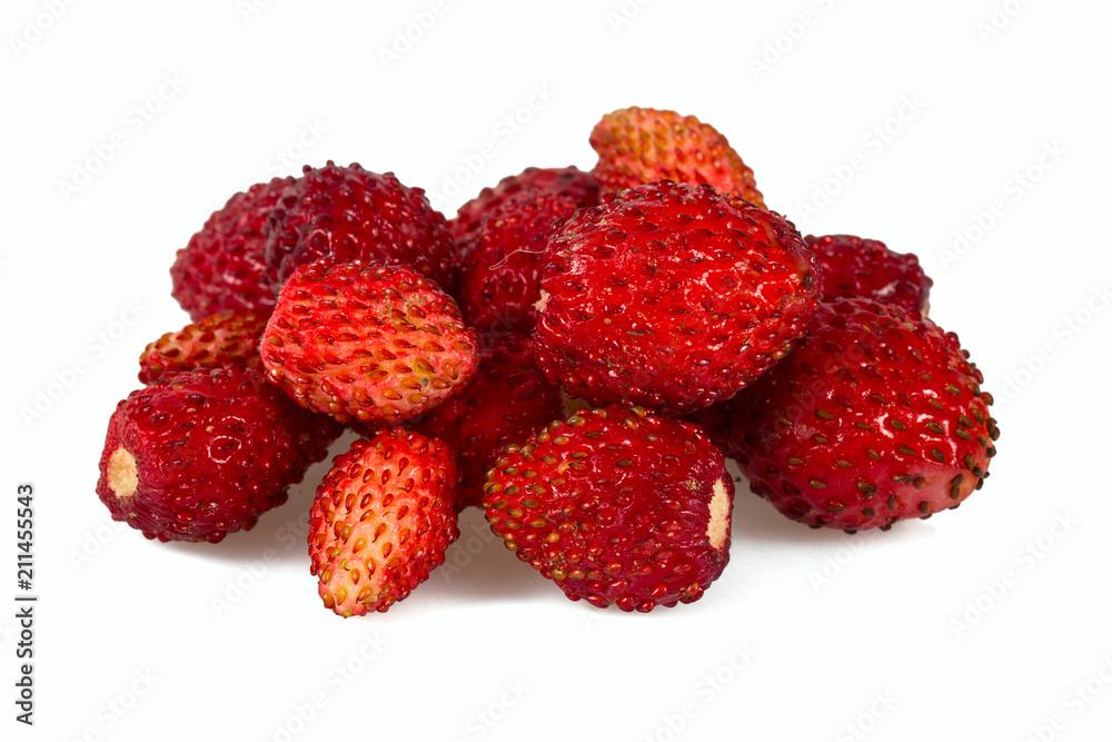 wild strawberries isolated on white wild strawberries isolated on white