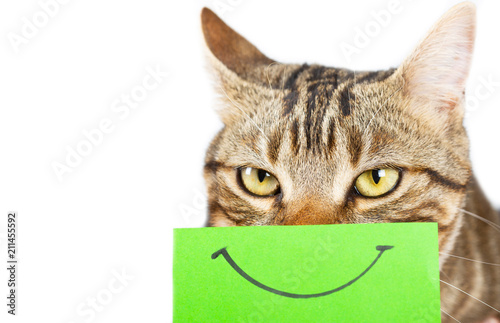 Cat with a smile