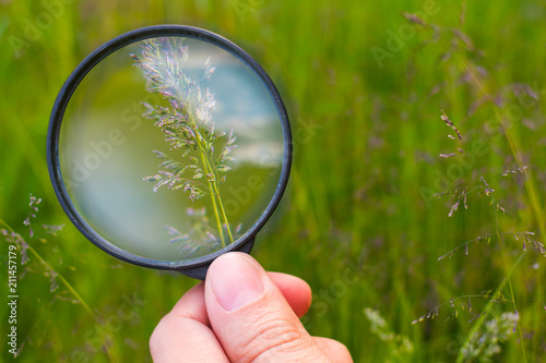 hand with a magnifying glass on the background of nature