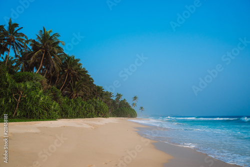 Landscape coastline is a yellow sandy beach with soft sand, gentle blue sea waves. Along the coast grow tropical jungle, trees, palm trees. The concept of a tropical beach, vacation, travel