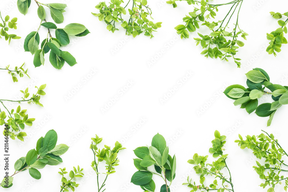 Yellow flowers, green leaves on white background, flat lay, top view