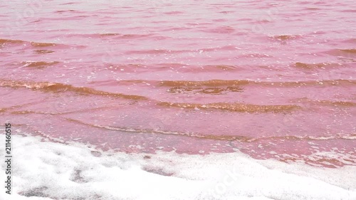 Water of pink lake Retba - Dakar region, Senegal, Africa photo