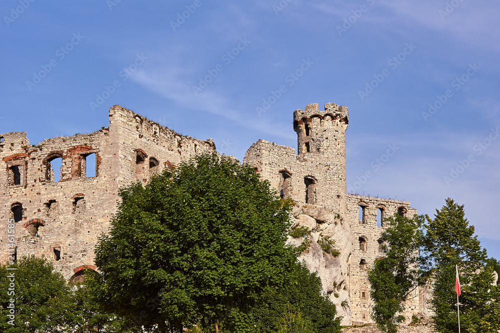 Ruined medieval castle with tower in Ogrodzieniec, ..