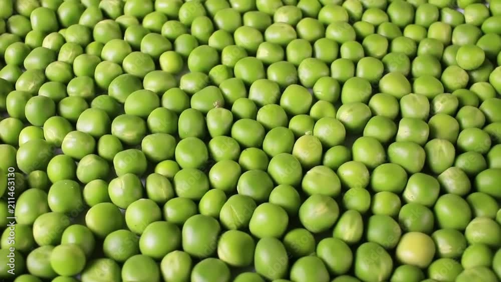 Green peas. Pea grains rotating pattern macro texture background backdrop footage video. Green peas. Pea grains rotating pattern macro texture background backdrop footage video.