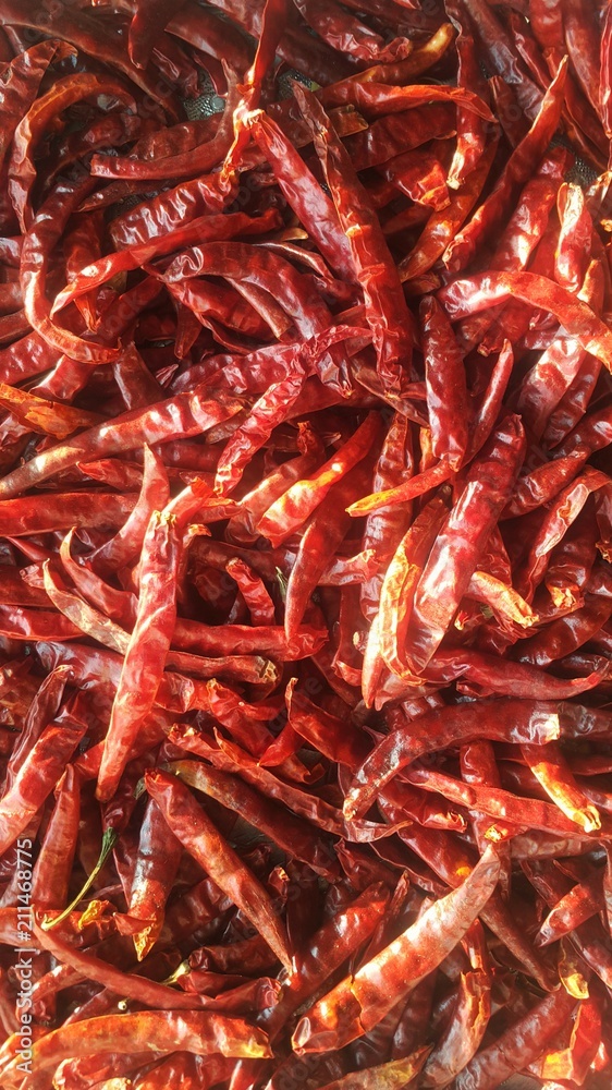 Close up dry red chili for cook , thai food spices and herbs Close up dry red chili for cook , thai food spices and herbs
