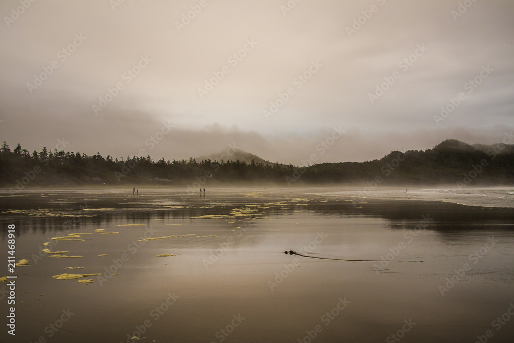 Fototapeta premium Nebel_am_Morgen