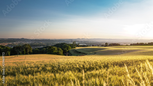 Panorama of the beautiful sunset in western Germany  a field of wheat  in the distance a small city.