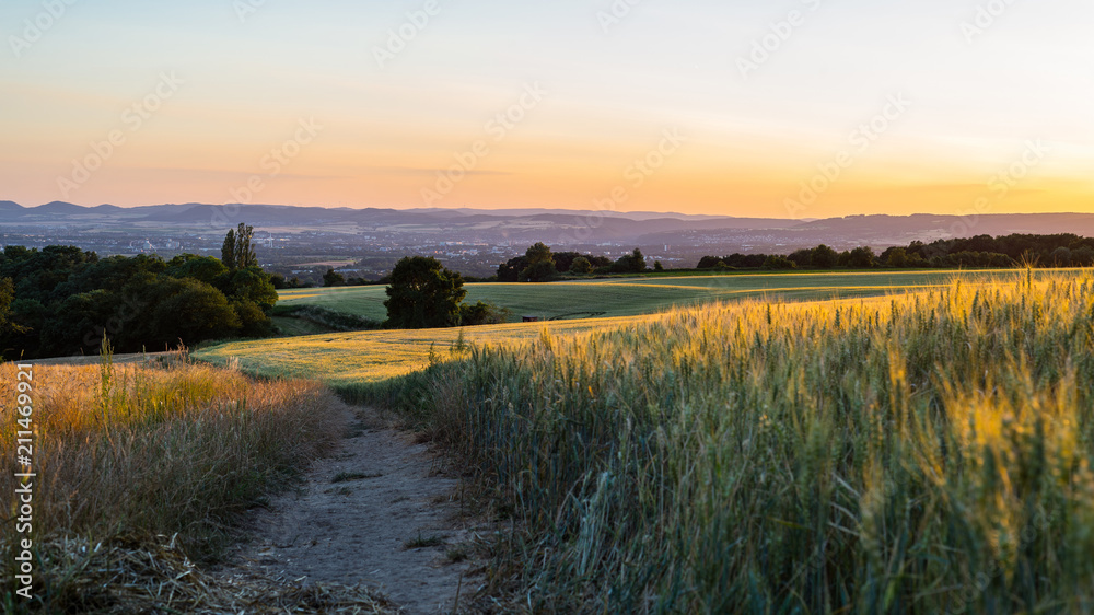 Panorama of the beautiful sunset in western Germany, a field of wheat, in the distance a small city.
