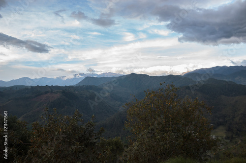 Valle de Cocora, colombia © Mira