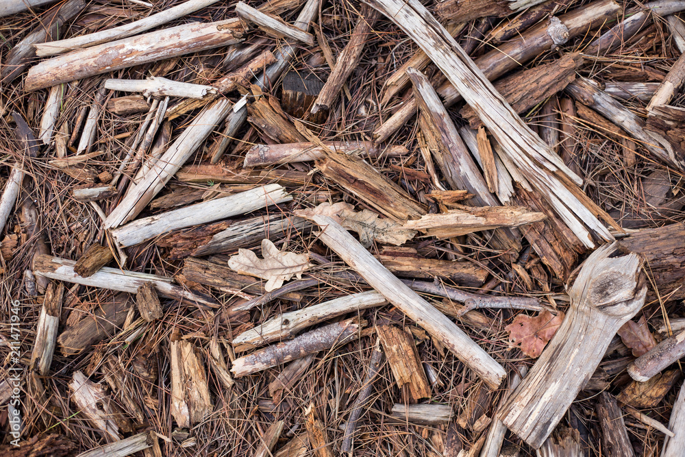 Dry Wood Texture Dry Wood Texture
