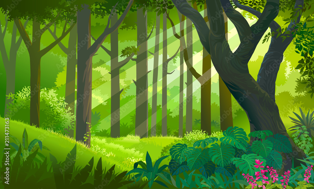Obraz premium Bujny, gęsty zielony las z promieniami słońca dotykającymi roślin i drzew