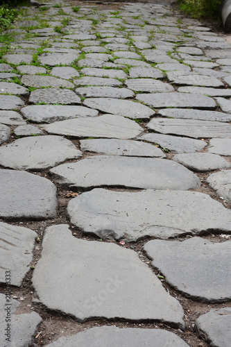 Rome, view and details of the archaeological area of the Roman Forums.