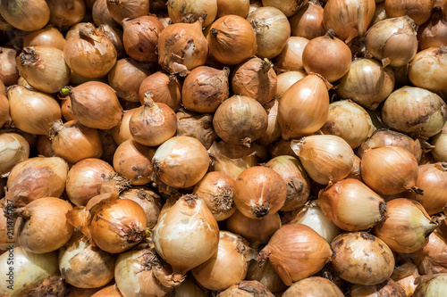Fresh onion in super market