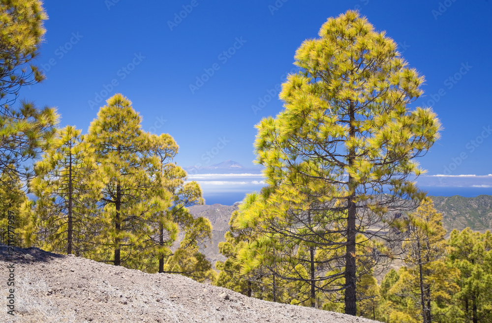 Fototapeta premium Gran Canaria, view from Las Cumbres