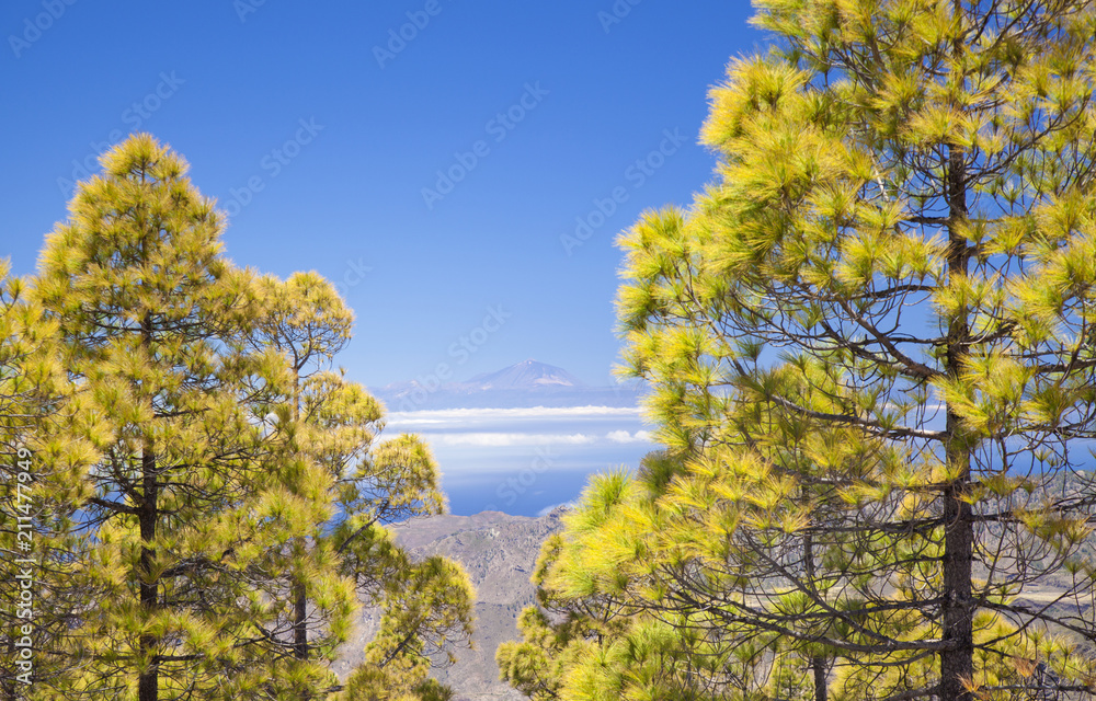Gran Canaria, view from Las Cumbres