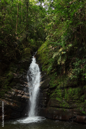 Waterfall in the jungle  colombia
