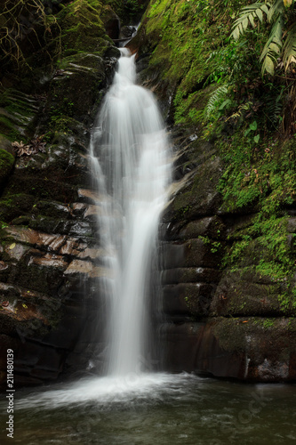 Fototapeta Naklejka Na Ścianę i Meble -  Waterfall in the jungle, colombia