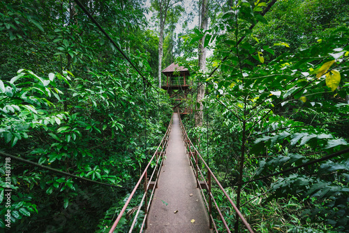 Canopy Walkway in Peninsular Botanical Garden (Thung Khai), Trang province, Thailand.