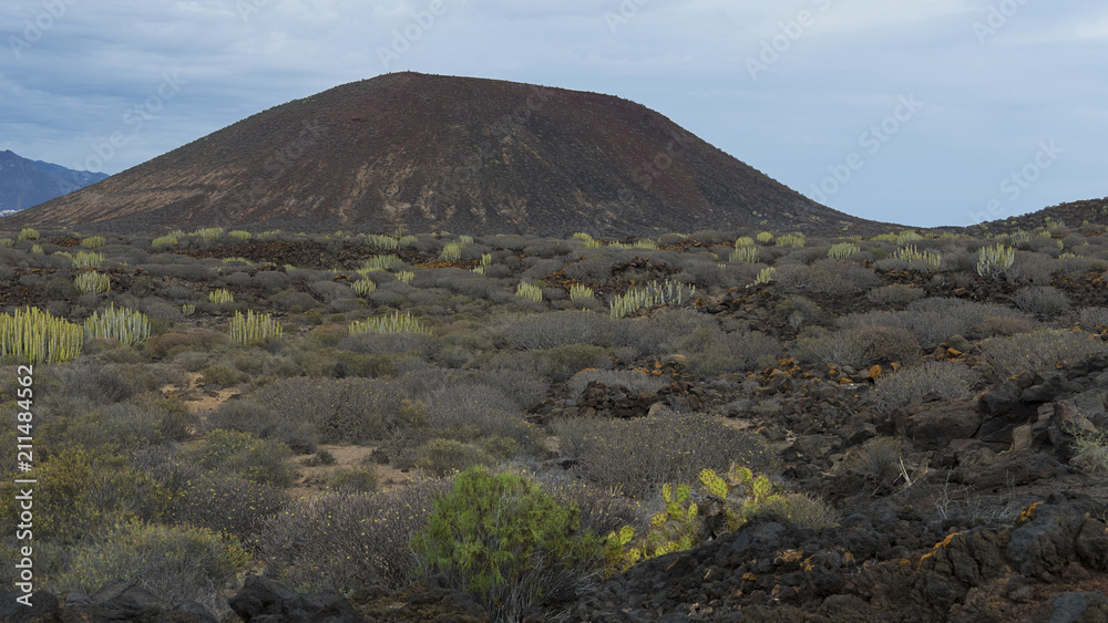 View towards the most representative volcanic cone covered in unique endemic flora in The Special Natural Reserve of Malpais de la Rasca, Palm-Mar, Tenerife, Canary Islands, Spain